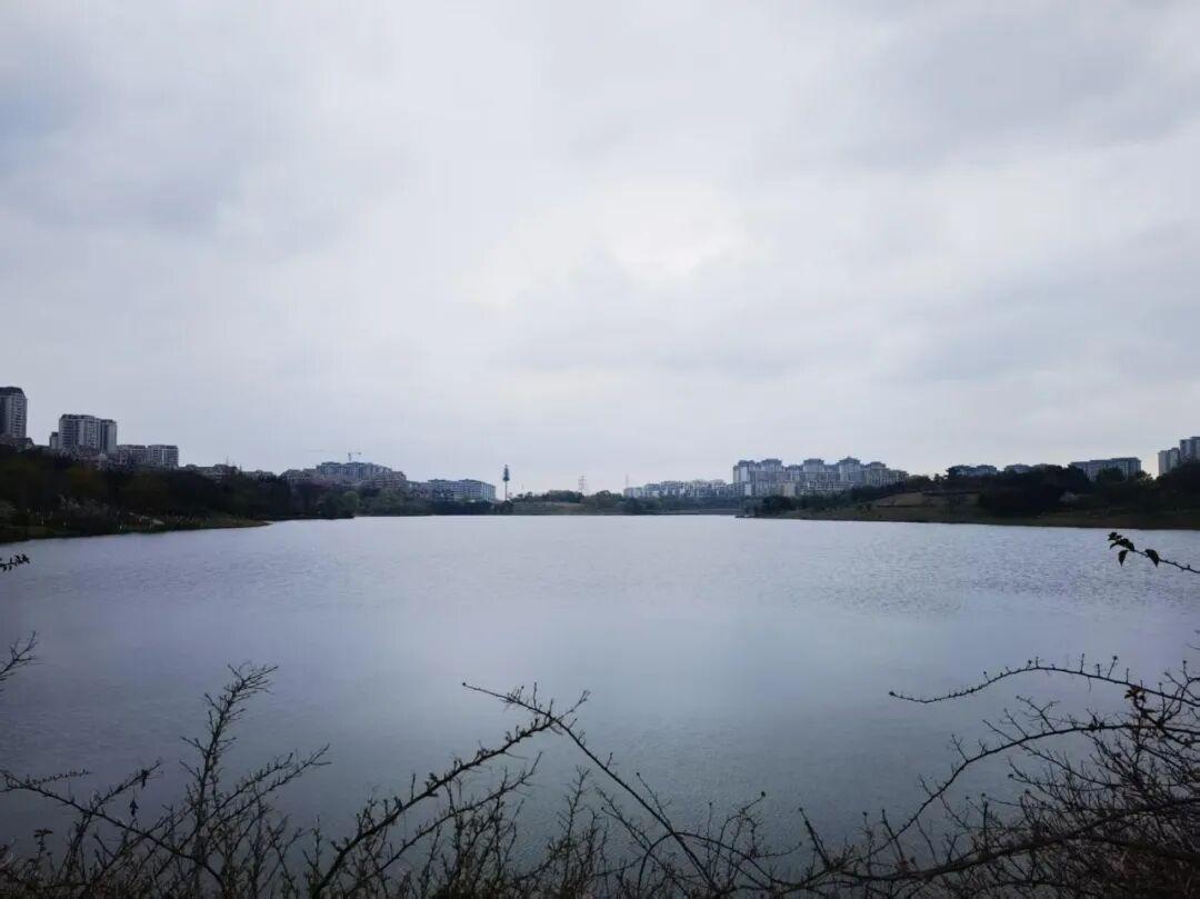 v体育-为什么有2万人来仁寿跑马拉松?